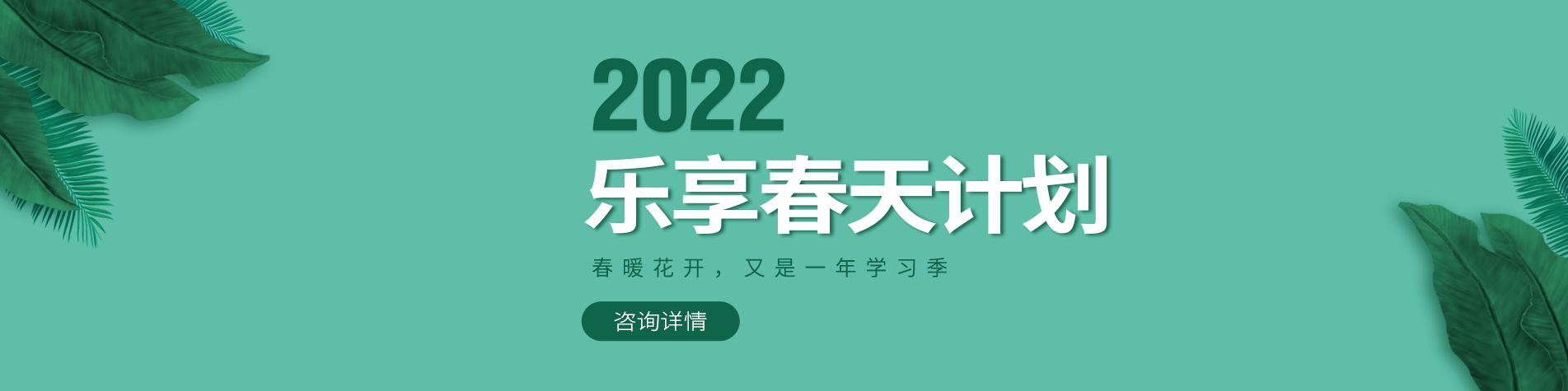 插比鸡巴视频下载